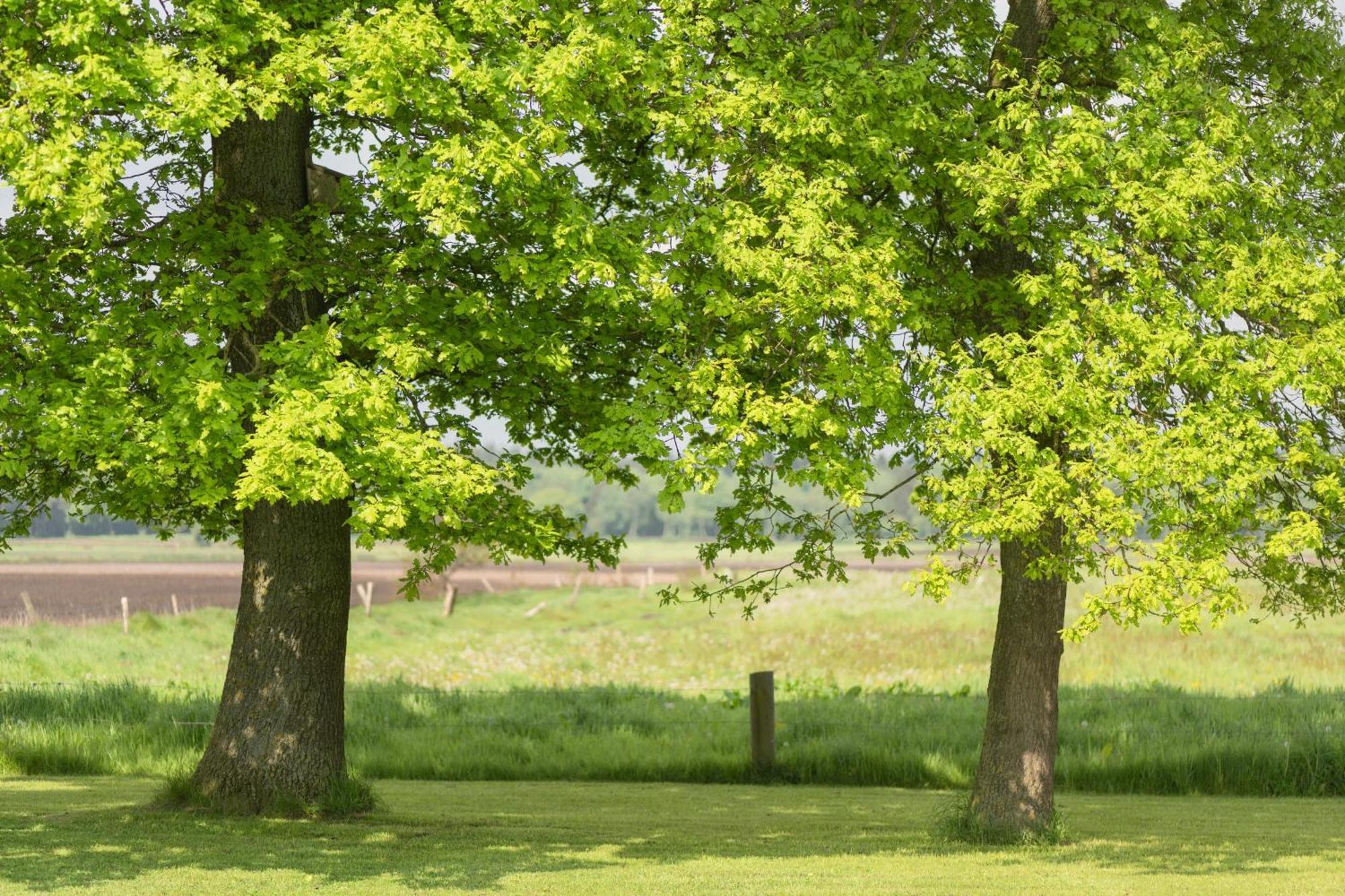 Ferienhaus Waldblick, 35209 Hesel Buitenkant foto